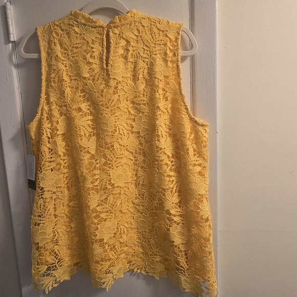 Rafaella Sunflower Lace Scalloped Sleeveless Blouse Size L - Picture 5 of 9